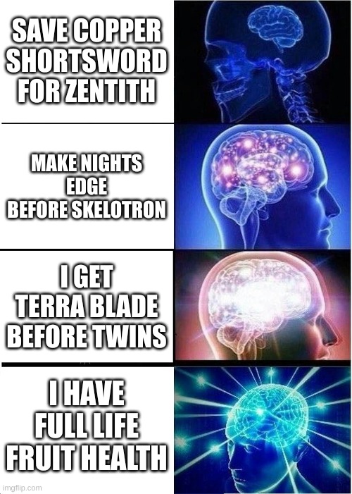 Expanding Brain | SAVE COPPER SHORTSWORD FOR ZENTITH; MAKE NIGHTS EDGE BEFORE SKELOTRON; I GET TERRA BLADE BEFORE TWINS; I HAVE FULL LIFE FRUIT HEALTH | image tagged in memes,expanding brain | made w/ Imgflip meme maker