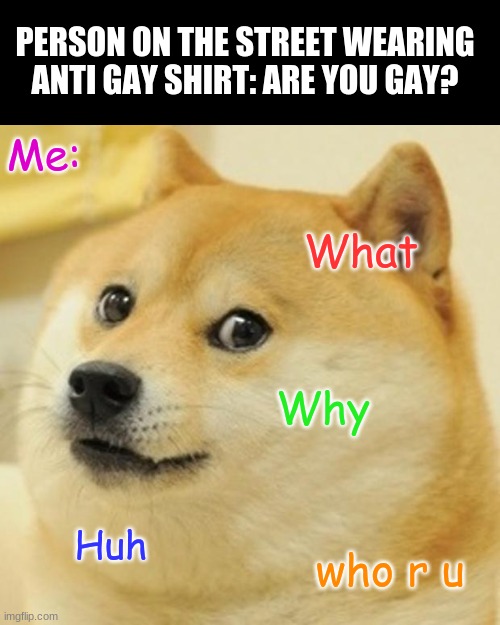 Doge | PERSON ON THE STREET WEARING ANTI GAY SHIRT: ARE YOU GAY? Me:; What; Why; Huh; who r u | image tagged in memes,doge | made w/ Imgflip meme maker