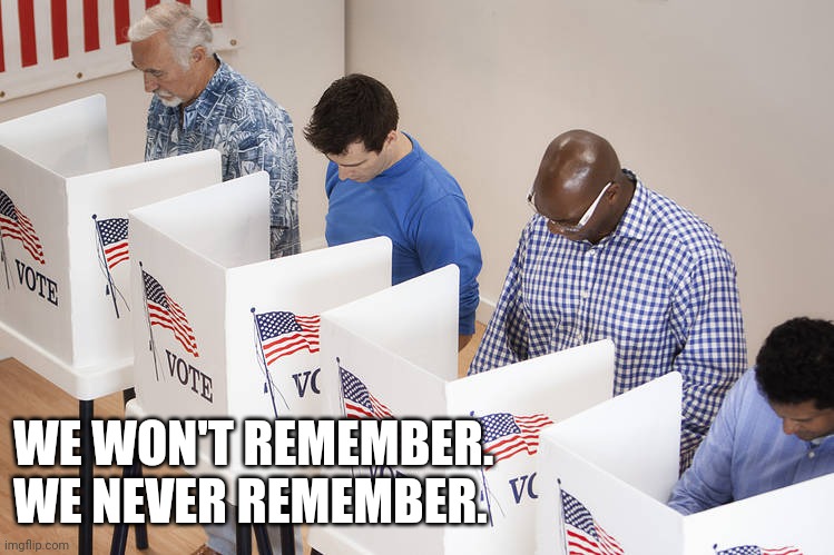 Voters | WE WON'T REMEMBER.
WE NEVER REMEMBER. | image tagged in voters | made w/ Imgflip meme maker