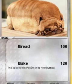 High Quality bred dogi Blank Meme Template