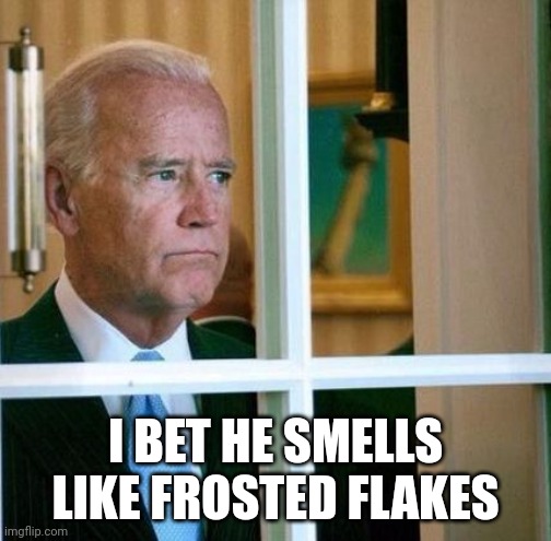 Sad Joe Biden | I BET HE SMELLS LIKE FROSTED FLAKES | image tagged in sad joe biden | made w/ Imgflip meme maker