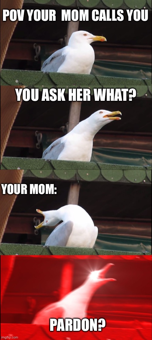 Inhaling Seagull | POV YOUR  MOM CALLS YOU; YOU ASK HER WHAT? YOUR MOM:; PARDON? | image tagged in memes,inhaling seagull | made w/ Imgflip meme maker