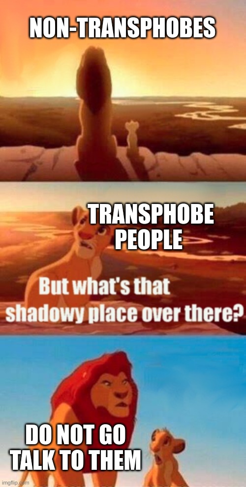 do not talk to them | NON-TRANSPHOBES; TRANSPHOBE PEOPLE; DO NOT GO TALK TO THEM | image tagged in memes,simba shadowy place | made w/ Imgflip meme maker