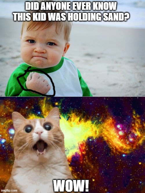 super cool! | DID ANYONE EVER KNOW THIS KID WAS HOLDING SAND? WOW! | image tagged in memes,success kid original,thanos what did it cost,cool,cat,funny | made w/ Imgflip meme maker