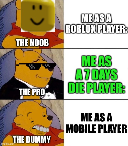 Me in games | ME AS A ROBLOX PLAYER:; THE NOOB; ME AS A 7 DAYS DIE PLAYER:; THE PRO; ME AS A MOBILE PLAYER; THE DUMMY | image tagged in best better blurst,video games,roblox,mobile | made w/ Imgflip meme maker