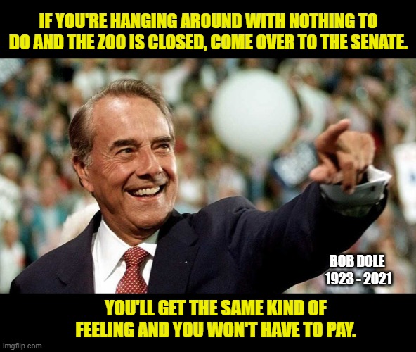 They have lots of turkeys there too. | IF YOU'RE HANGING AROUND WITH NOTHING TO DO AND THE ZOO IS CLOSED, COME OVER TO THE SENATE. BOB DOLE 
1923 - 2021; YOU'LL GET THE SAME KIND OF FEELING AND YOU WON'T HAVE TO PAY. | image tagged in bob dole,senate,big government,humor | made w/ Imgflip meme maker