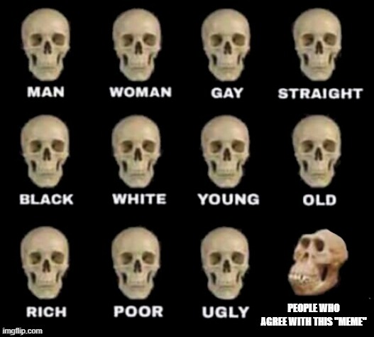 idiot skull | PEOPLE WHO AGREE WITH THIS "MEME" | image tagged in idiot skull | made w/ Imgflip meme maker