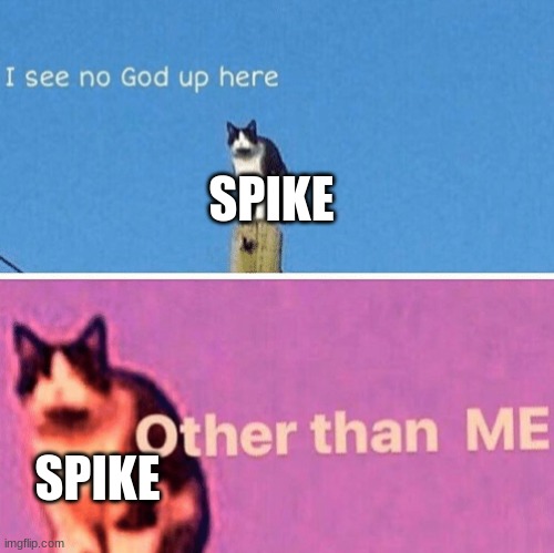 Hail pole cat | SPIKE; SPIKE | image tagged in hail pole cat | made w/ Imgflip meme maker