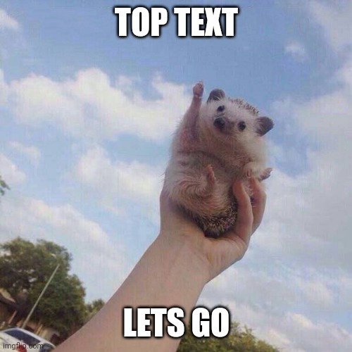lets go | TOP TEXT LETS GO | image tagged in lets go | made w/ Imgflip meme maker