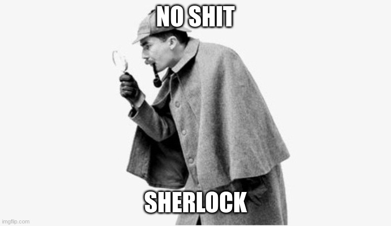 no shit sherlock  | NO SHIT SHERLOCK | image tagged in no shit sherlock | made w/ Imgflip meme maker