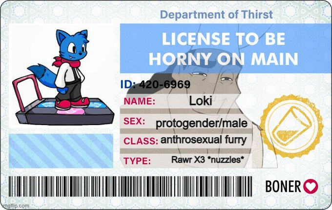 License To Be Horny On Main | Loki protogender/male anthrosexual furry Rawr X3 *nuzzles* | image tagged in license to be horny on main | made w/ Imgflip meme maker