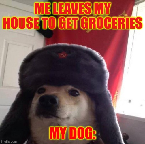 ALL HAIL THE MOTHERLAND COMRADES | ME LEAVES MY HOUSE TO GET GROCERIES; MY DOG: | image tagged in russian doge,ussr,joseph stalin,russia | made w/ Imgflip meme maker