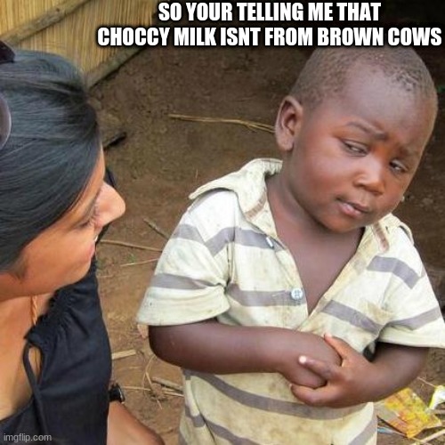 Third World Skeptical Kid | SO YOUR TELLING ME THAT CHOCCY MILK ISNT FROM BROWN COWS | image tagged in memes,third world skeptical kid,choccy milk | made w/ Imgflip meme maker