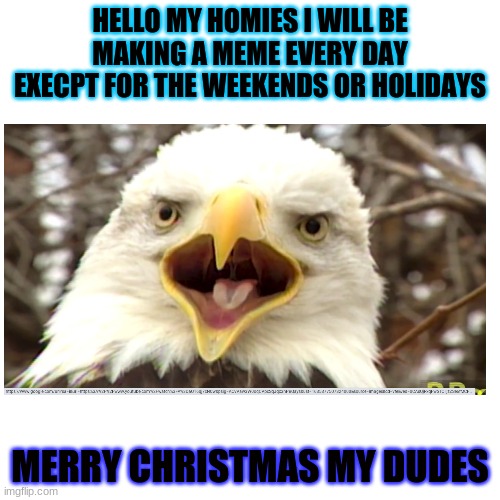 YAY | HELLO MY HOMIES I WILL BE MAKING A MEME EVERY DAY EXECPT FOR THE WEEKENDS OR HOLIDAYS; MERRY CHRISTMAS MY DUDES | image tagged in its wensday my dudes,why are you reading this,your not supposed to be here,go away,scroll | made w/ Imgflip meme maker