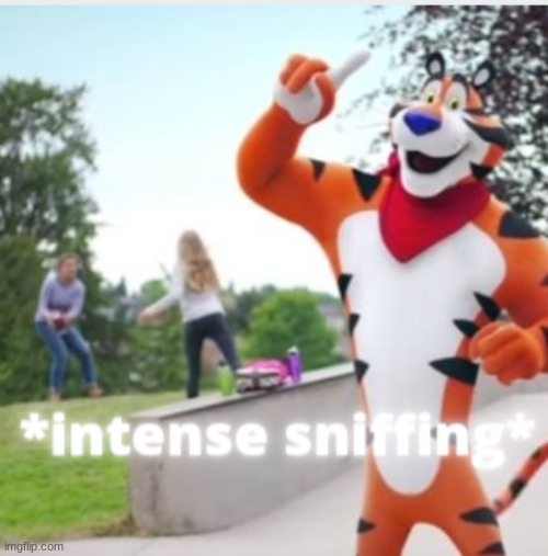 frosted flakes meme template | image tagged in frosted flakes | made w/ Imgflip meme maker
