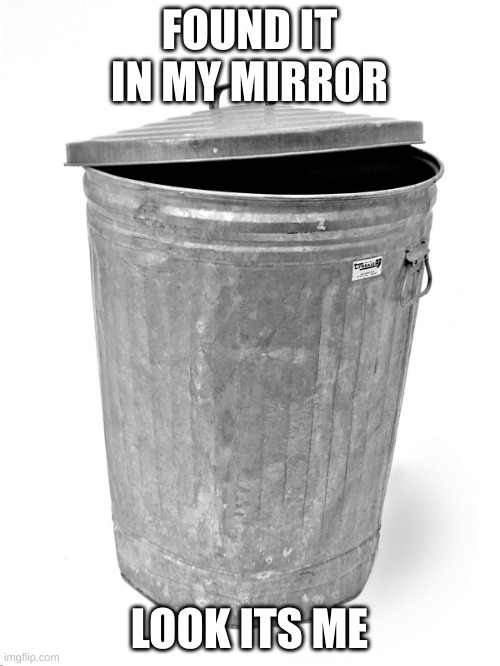 Trash Can | FOUND IT IN MY MIRROR LOOK ITS ME | image tagged in trash can | made w/ Imgflip meme maker