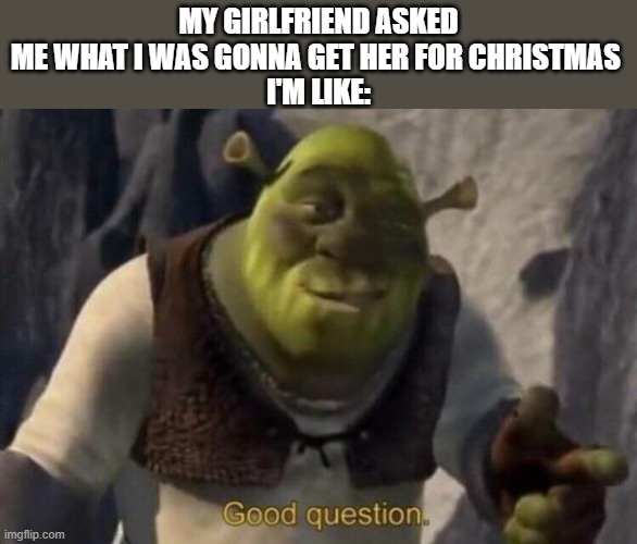 Shrek good question | MY GIRLFRIEND ASKED ME WHAT I WAS GONNA GET HER FOR CHRISTMAS 
I'M LIKE: | image tagged in shrek good question,shrek,good question,memes,funny,girlfriend | made w/ Imgflip meme maker