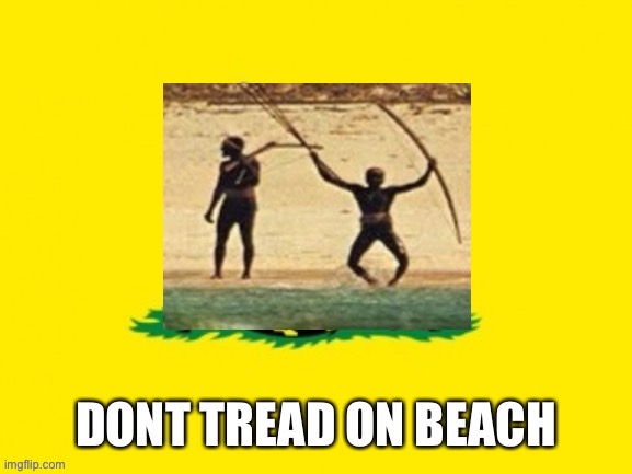 Get off our island! | image tagged in gadsden flag | made w/ Imgflip meme maker