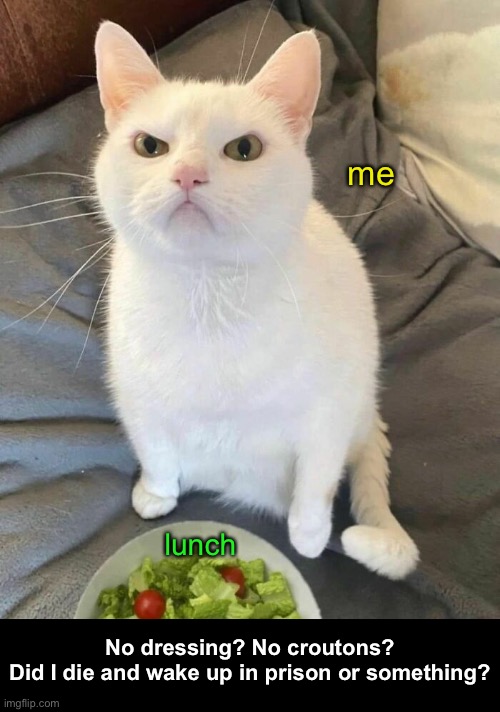 Trying to Cut Calories | me; lunch; No dressing? No croutons?
Did I die and wake up in prison or something? | image tagged in funny memes,funny cat memes,dieting | made w/ Imgflip meme maker