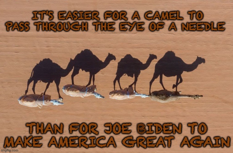 Getting the Hump with the Democrats... | IT'S EASIER FOR A CAMEL TO PASS THROUGH THE EYE OF A NEEDLE; THAN FOR JOE BIDEN TO MAKE AMERICA GREAT AGAIN | image tagged in democrats,camels,hump day,maga,politicstoo | made w/ Imgflip meme maker