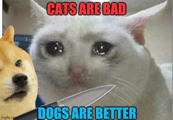 somewhat dark meme... | CATS ARE BAD DOGS ARE BETTER | image tagged in cats,dogs,doge,knife,gifs,not actually a gif | made w/ Imgflip meme maker