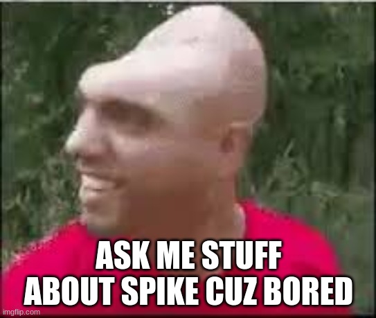 Dishweed | ASK ME STUFF ABOUT SPIKE CUZ BORED | image tagged in dishweed | made w/ Imgflip meme maker