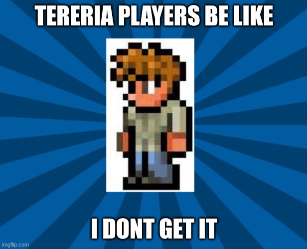 Terraria Guide | TERERIA PLAYERS BE LIKE I DONT GET IT | image tagged in terraria guide | made w/ Imgflip meme maker