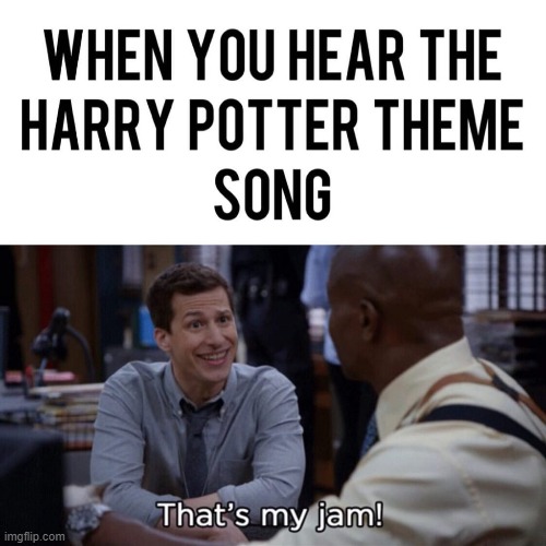 image tagged in harry potter | made w/ Imgflip meme maker