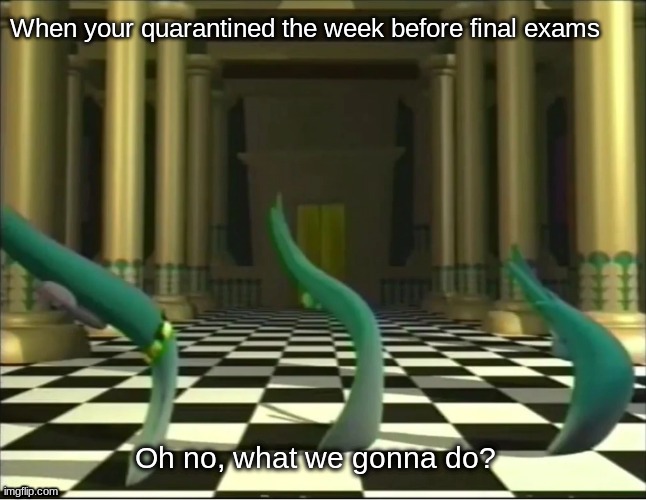  When your quarantined the week before final exams | image tagged in veggietales oh no | made w/ Imgflip meme maker