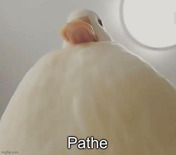 pathetic (duck#1) | Pathetic | image tagged in pathetic duck 1 | made w/ Imgflip meme maker