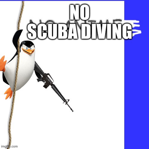 No scuba diving skipper gun | image tagged in no scuba diving skipper gun | made w/ Imgflip meme maker