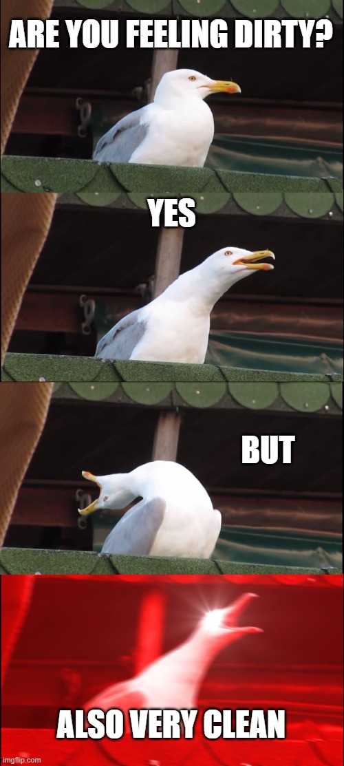 Inhaling Seagull Meme | ARE YOU FEELING DIRTY? YES; BUT; ALSO VERY CLEAN | image tagged in memes,inhaling seagull | made w/ Imgflip meme maker