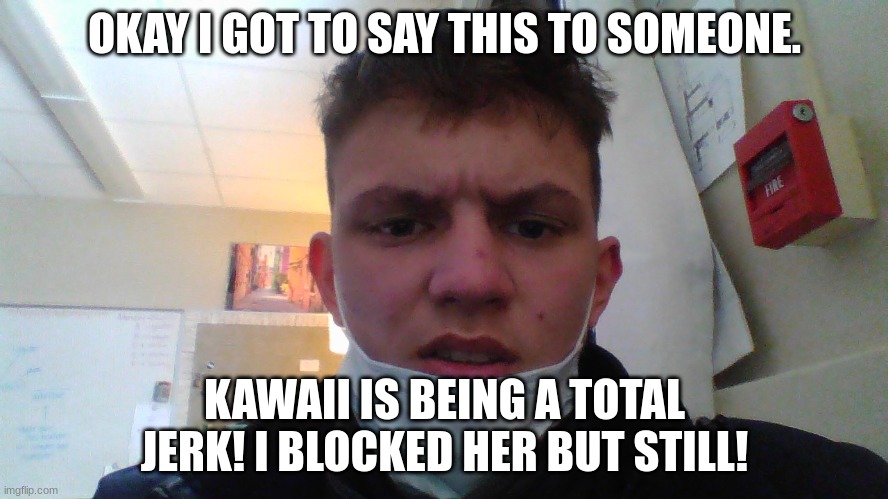 . | OKAY I GOT TO SAY THIS TO SOMEONE. KAWAII IS BEING A TOTAL JERK! I BLOCKED HER BUT STILL! | image tagged in furry | made w/ Imgflip meme maker