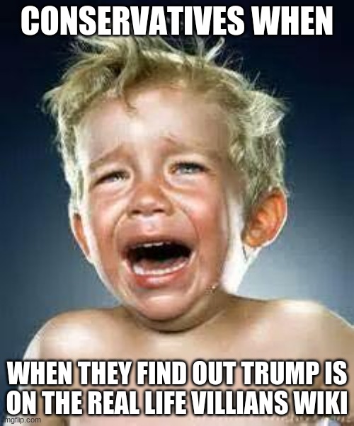 Google it. You can't hide from the truth. | CONSERVATIVES WHEN; WHEN THEY FIND OUT TRUMP IS ON THE REAL LIFE VILLIANS WIKI | image tagged in little boy crying,conservative hypocrisy,liberal superiority,trump supporter,trump sucks | made w/ Imgflip meme maker