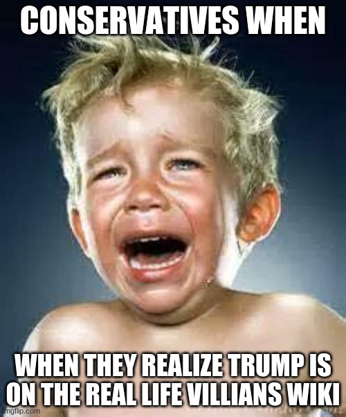 yuppers | CONSERVATIVES WHEN; WHEN THEY REALIZE TRUMP IS ON THE REAL LIFE VILLIANS WIKI | image tagged in little boy crying,trump supporters,trump sucks,conservative hypocrisy,liberal superiority,liberal vs conservative | made w/ Imgflip meme maker