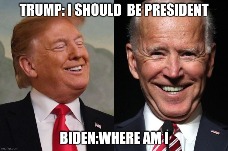 scared cat | TRUMP: I SHOULD  BE PRESIDENT; BIDEN:WHERE AM I | image tagged in trump and biden | made w/ Imgflip meme maker