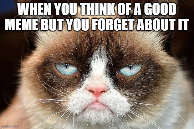We all hate this right? |  WHEN YOU THINK OF A GOOD MEME BUT YOU FORGET ABOUT IT | image tagged in memes,grumpy cat not amused,grumpy cat | made w/ Imgflip meme maker