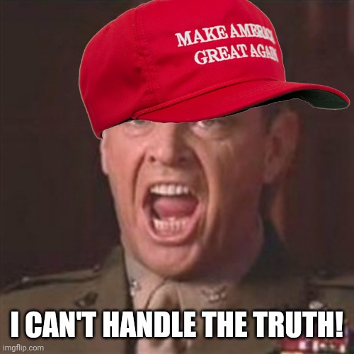 You can't handle the truth | I CAN'T HANDLE THE TRUTH! | image tagged in you can't handle the truth | made w/ Imgflip meme maker
