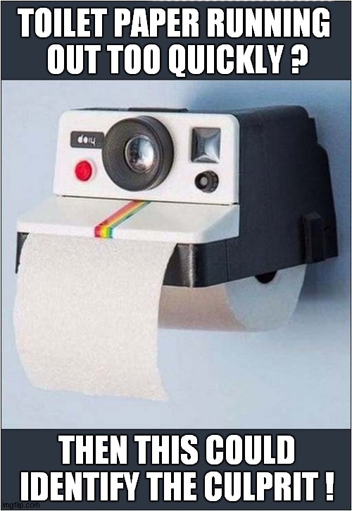You Are Being Watched ! | TOILET PAPER RUNNING 
OUT TOO QUICKLY ? THEN THIS COULD IDENTIFY THE CULPRIT ! | image tagged in toilet paper,polaroid camera,photography | made w/ Imgflip meme maker