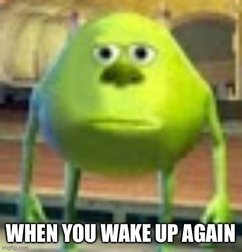 Sully Wazowski | WHEN YOU WAKE UP AGAIN | image tagged in sully wazowski | made w/ Imgflip meme maker