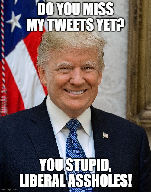 A real President | DO YOU MISS MY TWEETS YET? YOU STUPID, LIBERAL ASSHOLES! | image tagged in president trump,memes,tweets,democrats,liberals | made w/ Imgflip meme maker