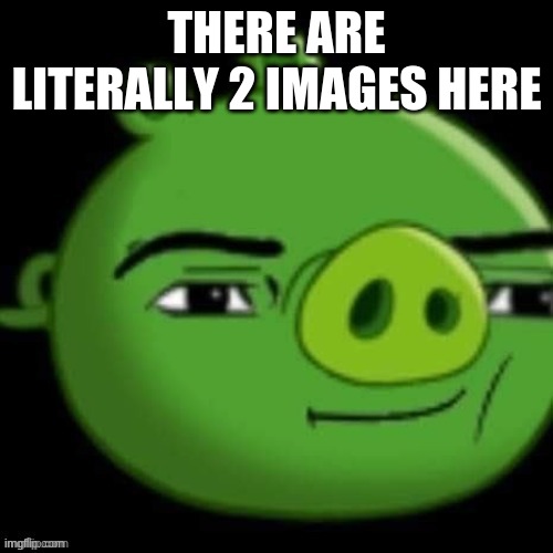 noice |  THERE ARE LITERALLY 2 IMAGES HERE | image tagged in noice | made w/ Imgflip meme maker