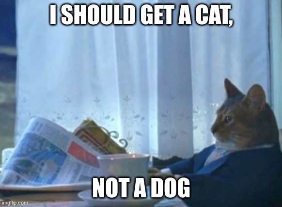 Google, where is the nearest pet store? | I SHOULD GET A CAT, NOT A DOG | image tagged in memes,i should buy a boat cat | made w/ Imgflip meme maker