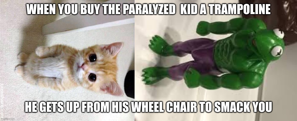 First dark humour meme | WHEN YOU BUY THE PARALYZED  KID A TRAMPOLINE; HE GETS UP FROM HIS WHEEL CHAIR TO SMACK YOU | image tagged in curesd kermit,memes,cute cat | made w/ Imgflip meme maker