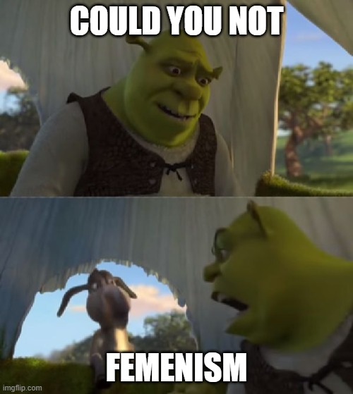 Me at my liberal girls' only school | COULD YOU NOT; FEMENISM | image tagged in could you not ___ for 5 minutes | made w/ Imgflip meme maker