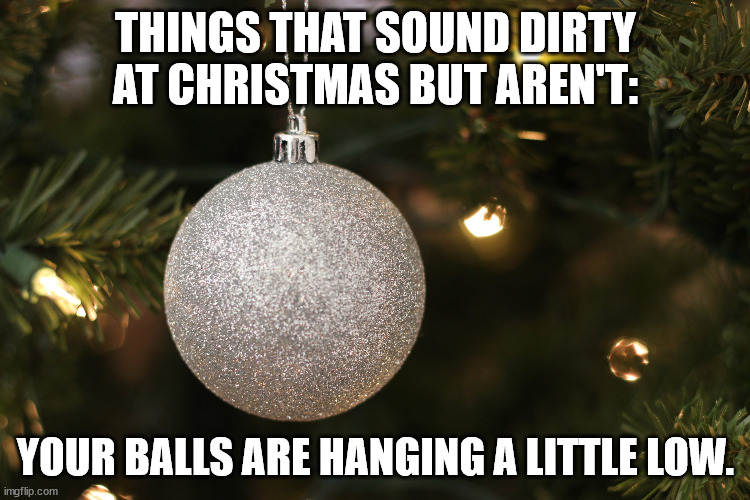 Decorating for Christmas | THINGS THAT SOUND DIRTY AT CHRISTMAS BUT AREN'T:; YOUR BALLS ARE HANGING A LITTLE LOW. | image tagged in christmas,christmas decorations,ornament,merry christmas | made w/ Imgflip meme maker