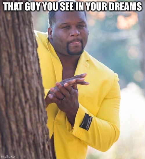 Black guy hiding behind tree | THAT GUY YOU SEE IN YOUR DREAMS | image tagged in black guy hiding behind tree | made w/ Imgflip meme maker