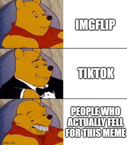 sorry, but... | IMGFLIP; TIKTOK; PEOPLE WHO ACTUALLY FELL FOR THIS MEME | image tagged in best better blurst | made w/ Imgflip meme maker