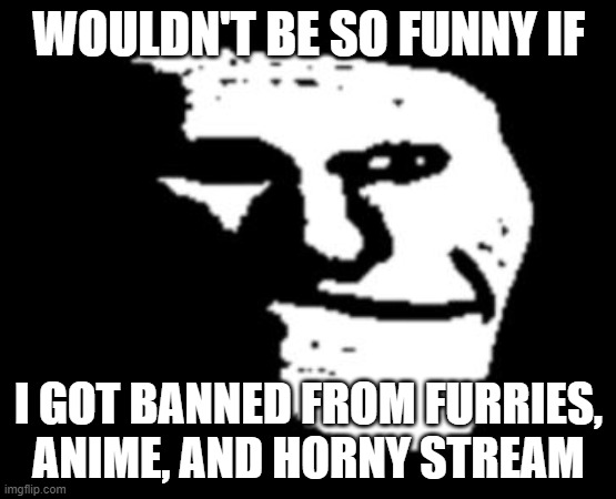 I just use tf2 phobia imgs jeez | WOULDN'T BE SO FUNNY IF; I GOT BANNED FROM FURRIES, ANIME, AND HORNY STREAM | image tagged in trollge | made w/ Imgflip meme maker