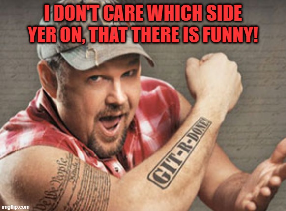 Larry the Cable Guy | I DON'T CARE WHICH SIDE YER ON, THAT THERE IS FUNNY! | image tagged in larry the cable guy | made w/ Imgflip meme maker